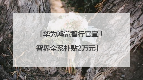 华为鸿蒙智行官宣！智界全系补贴2万元