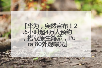 华为，突然宣布！2.5小时超4万人预约，搭载原生鸿蒙，Pura 80外观曝光