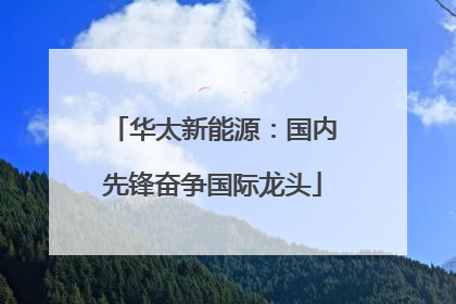 华太新能源：国内先锋奋争国际龙头