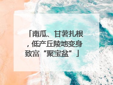 南瓜、甘薯扎根，低产丘陵地变身致富“聚宝盆”