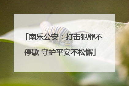 南乐公安：打击犯罪不停歇 守护平安不松懈