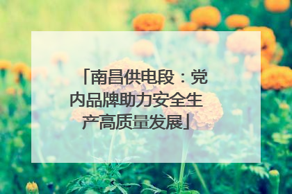 南昌供电段：党内品牌助力安全生产高质量发展