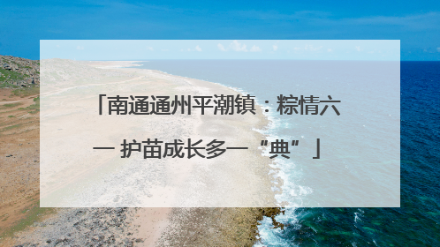 南通通州平潮镇：粽情六一 护苗成长多一“典”