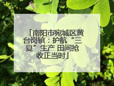 南阳市宛城区黄台岗镇：护航“三夏”生产 田间抢收正当时