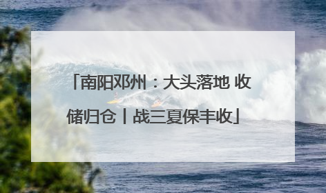 南阳邓州：大头落地 收储归仓丨战三夏保丰收