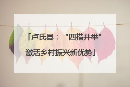 卢氏县：“四措并举”激活乡村振兴新优势