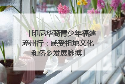 印尼华裔青少年福建漳州行：感受祖地文化和侨乡发展脉搏