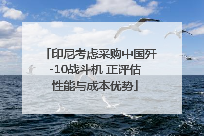 印尼考虑采购中国歼-10战斗机 正评估性能与成本优势