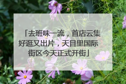 去班味一流，首店云集好逛又出片，天目里国际街区今天正式开街