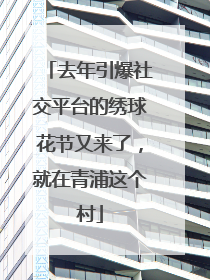 去年引爆社交平台的绣球花节又来了，就在青浦这个村