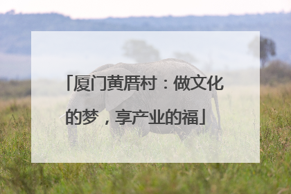 厦门黄厝村：做文化的梦，享产业的福