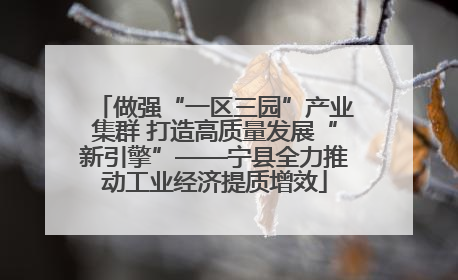 做强“一区三园”产业集群 打造高质量发展“新引擎”——宁县全力推动工业经济提质增效