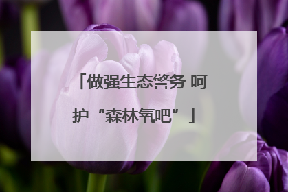做强生态警务 呵护“森林氧吧”