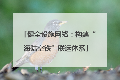 健全设施网络：构建“海陆空铁”联运体系