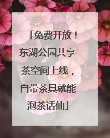 免费开放！东湖公园共享茶空间上线，自带茶具就能泡茶话仙
