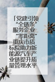 党建引领“全链条” 服务企业“零距离” 重庆市质标院助力新能源汽车产业链提升质量管理水平