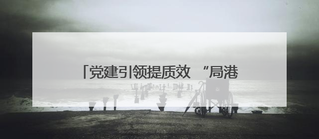 党建引领提质效 “局港联动”护航企业合规发展