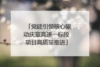 党建引领核心驱动庆章高速一标段项目高质量推进