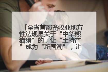 全省首部畜牧业地方性法规是关于“中华熊猫猪”的，让“土特产”成为“新国潮”，让“农产品”升格为“城市IP”
