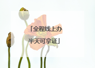 全程线上办 半天可拿证