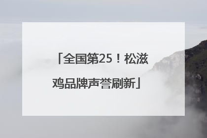 全国第25！松滋鸡品牌声誉刷新