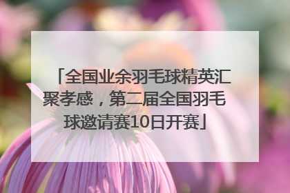 全国业余羽毛球精英汇聚孝感，第二届全国羽毛球邀请赛10日开赛