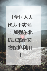 全国人大代表王志强：加强东北抗联革命文物保护利用