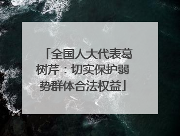 全国人大代表葛树芹：切实保护弱势群体合法权益