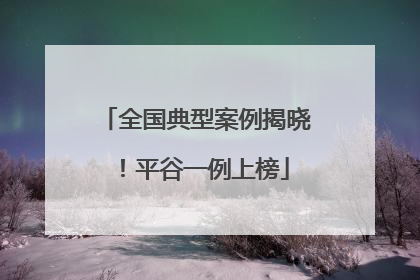 全国典型案例揭晓！平谷一例上榜