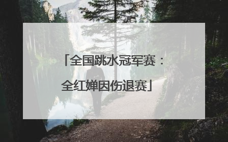 全国跳水冠军赛：全红婵因伤退赛