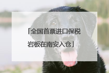 全国首票进口保税岩板在南安入仓