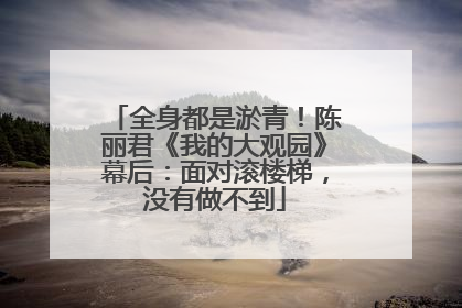 全身都是淤青！陈丽君《我的大观园》幕后：面对滚楼梯，没有做不到