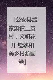 公安县孟家溪镇三袁村：文明花开 绘就和美乡村新画卷