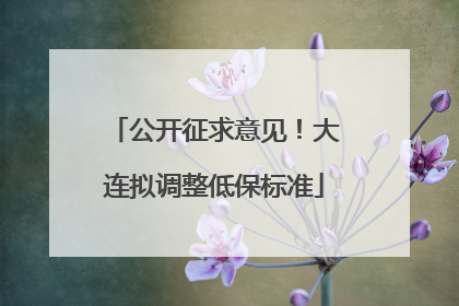 公开征求意见！大连拟调整低保标准