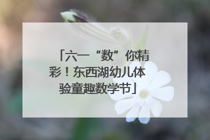 六一“数”你精彩！东西湖幼儿体验童趣数学节