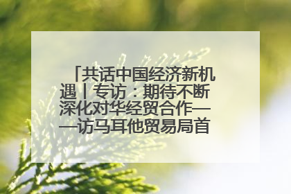 共话中国经济新机遇丨专访：期待不断深化对华经贸合作——访马耳他贸易局首席执行官布蒂吉格