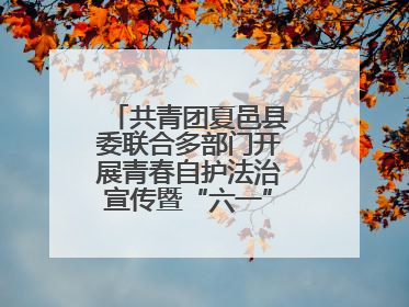 共青团夏邑县委联合多部门开展青春自护法治宣传暨“六一”主题日活动