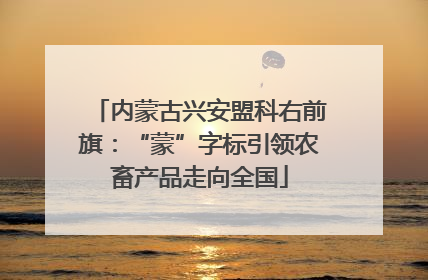 内蒙古兴安盟科右前旗：“蒙”字标引领农畜产品走向全国