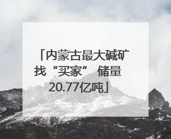 内蒙古最大碱矿找“买家” 储量20.77亿吨