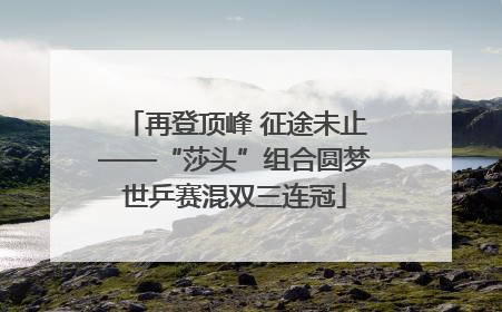 再登顶峰 征途未止——“莎头”组合圆梦世乒赛混双三连冠