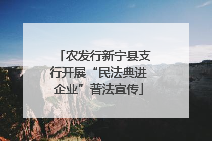 农发行新宁县支行开展“民法典进企业”普法宣传