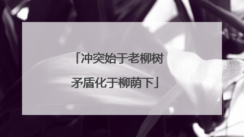 冲突始于老柳树 矛盾化于柳荫下
