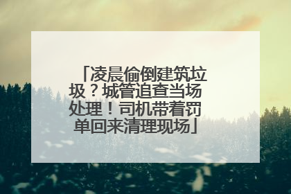 凌晨偷倒建筑垃圾？城管追查当场处理！司机带着罚单回来清理现场