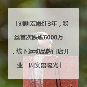 刘畊宏爆红3年，粉丝首次跌破6000万，线下运动品牌门店开业一周实景曝光