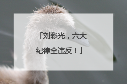 刘彩光，六大纪律全违反！