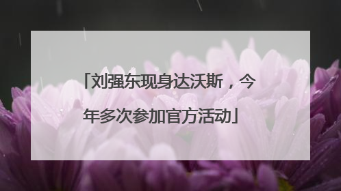 刘强东现身达沃斯，今年多次参加官方活动