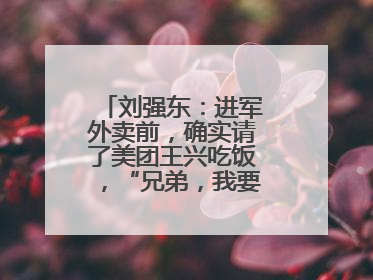 刘强东：进军外卖前，确实请了美团王兴吃饭，“兄弟，我要进入外卖了”