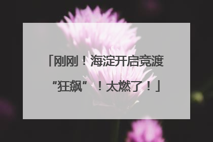 刚刚！海淀开启竞渡“狂飙”！太燃了！