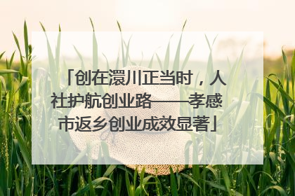 创在澴川正当时，人社护航创业路——孝感市返乡创业成效显著