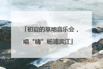 初夏的草地音乐会，唱“嗨”杨浦滨江